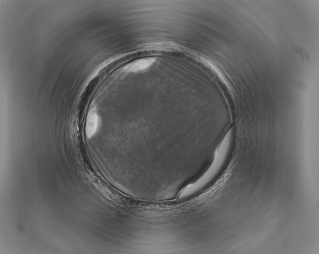 X0000112020923200908311151