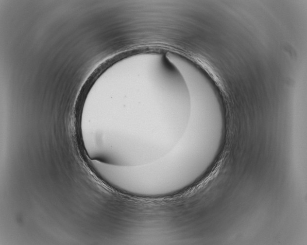 X0000112020924200908311151