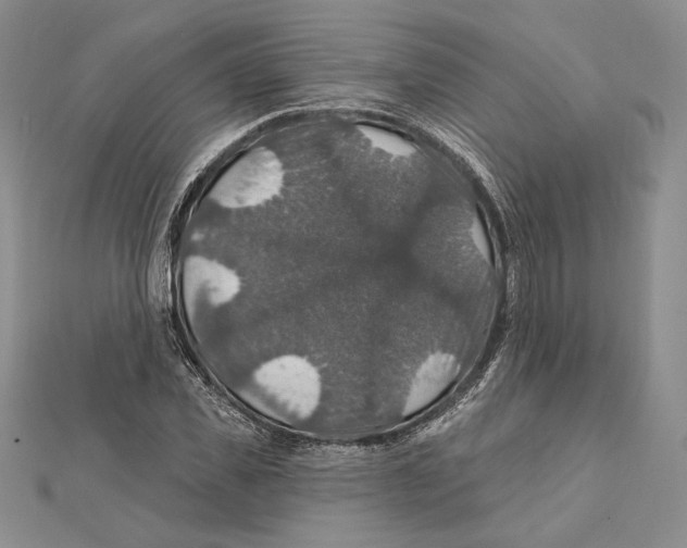 X0000112020925200908311151