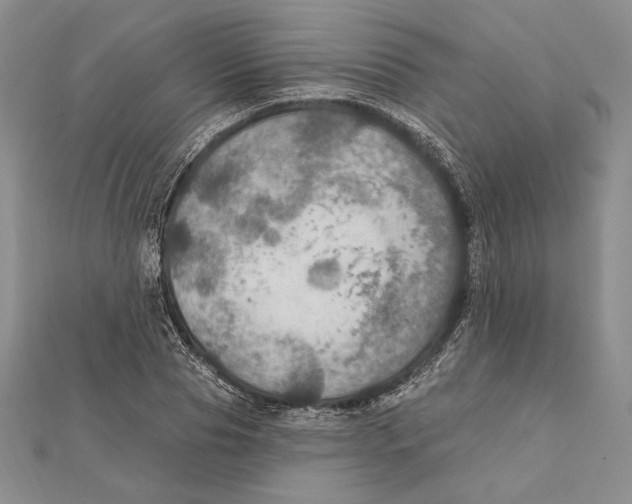 X0000112020929200908311151