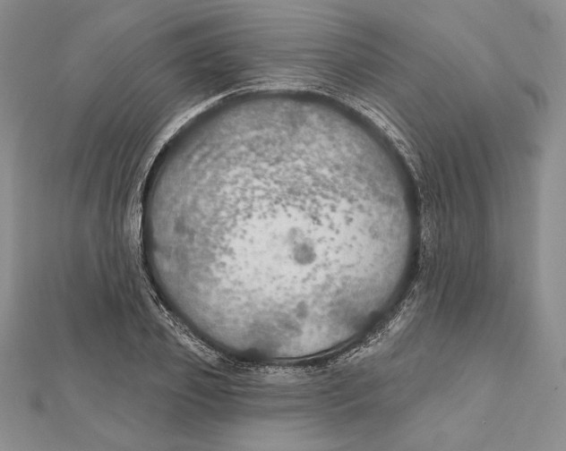 X0000112020933200908311151