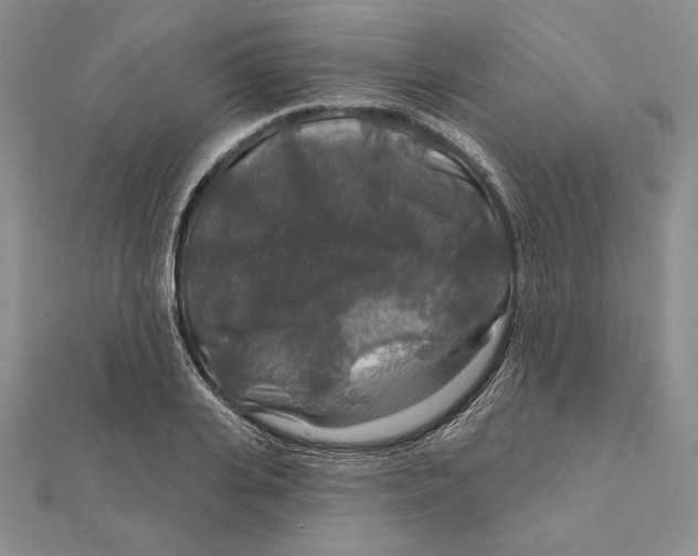 X0000112020935200908311151