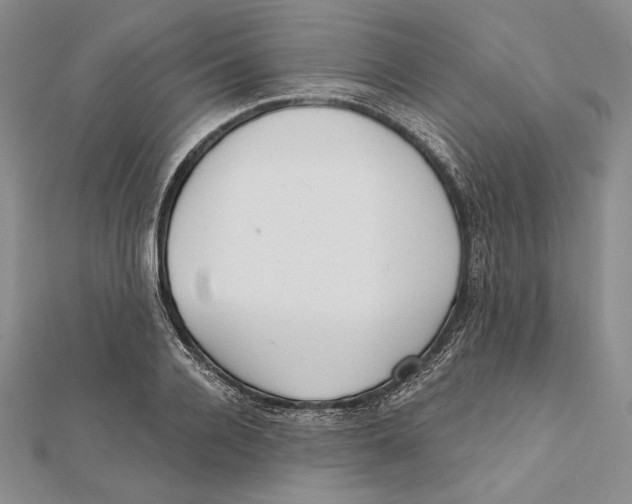 X0000112020936200908311151