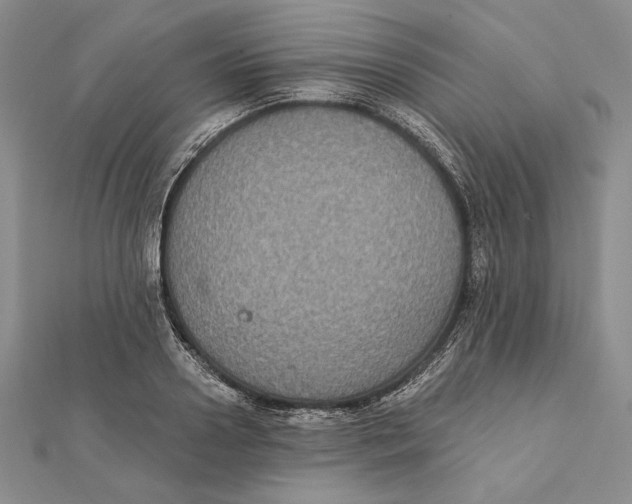 X0000112020938200908311151