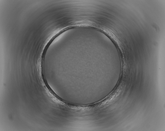 X0000112020941200908311151