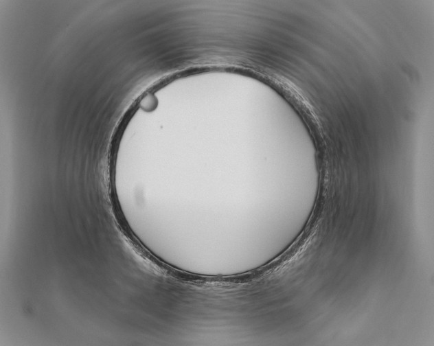 X0000112020942200908311152