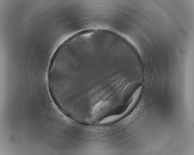 X0000112020943200908311152