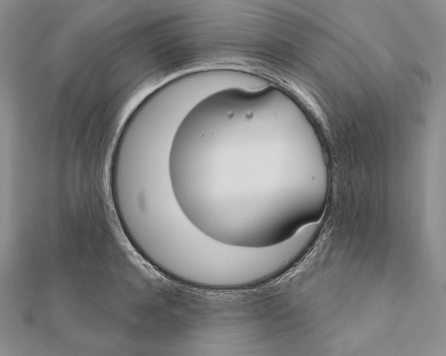 X0000112020944200908311152