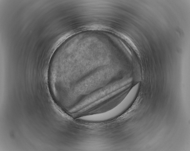 X0000112020946200908311152