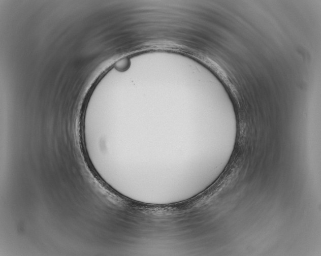 X0000112020947200908311152