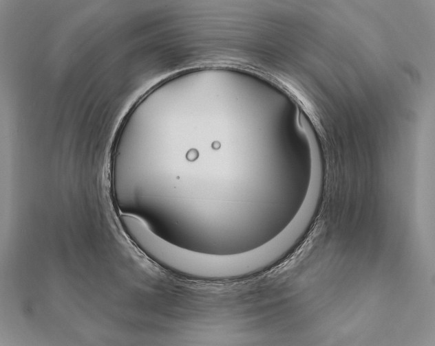 X0000112020948200908311152