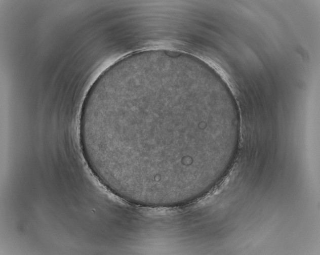 X0000112020949200908311152