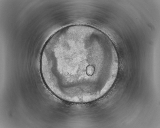 X0000112020950200908311152