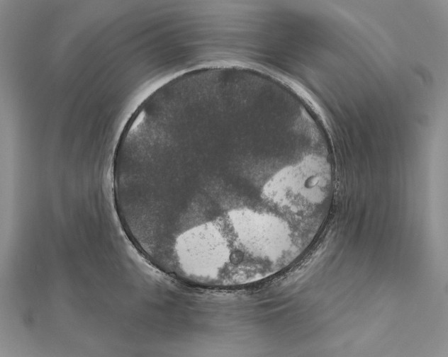 X0000112020951200908311152