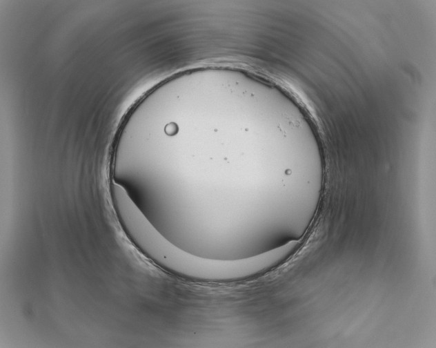 X0000112020952200908311152