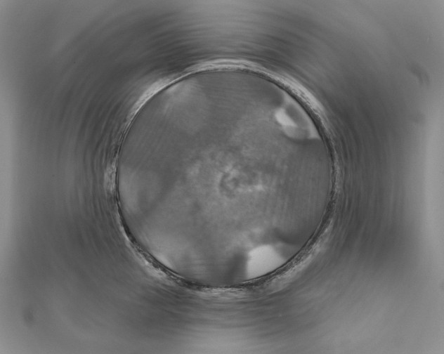 X0000112020953200908311152