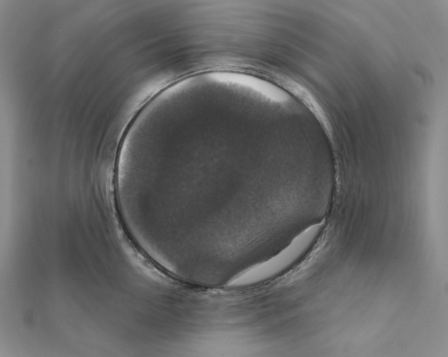 X0000112020954200908311152