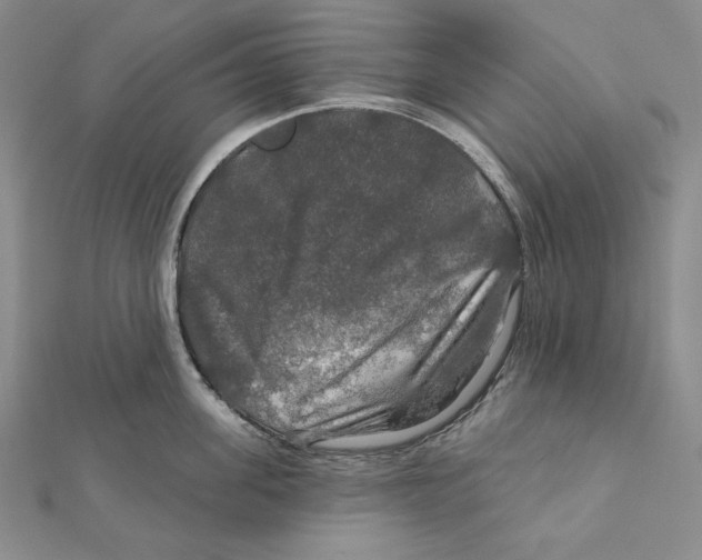 X0000112020955200908311152