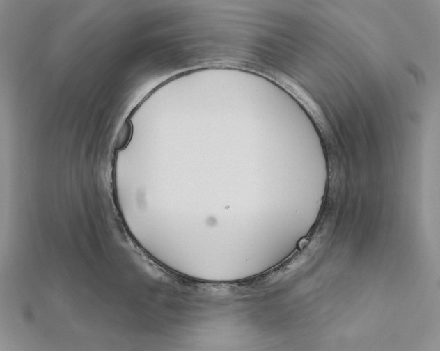 X0000112020956200908311152