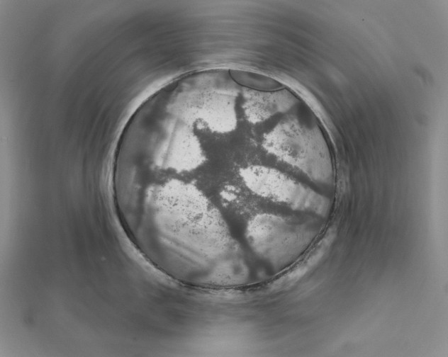 X0000112020957200908311152