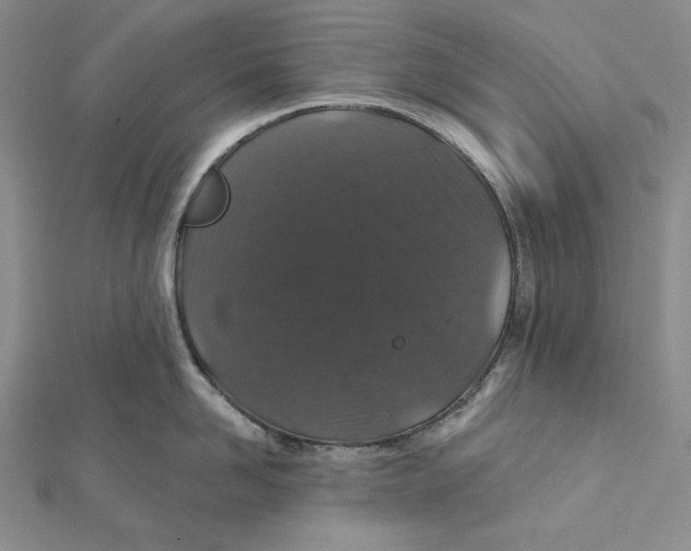 X0000112020958200908311152