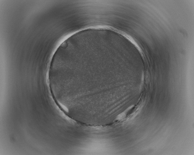 X0000112020959200908311152