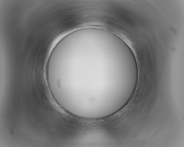 X0000112020960200908311152