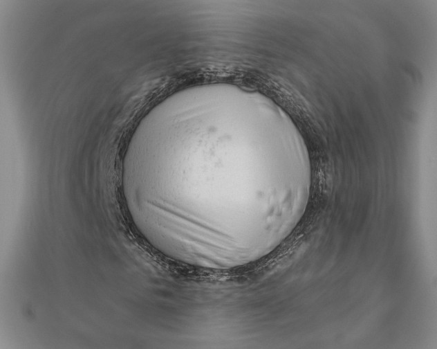 X0000112020961200908311151