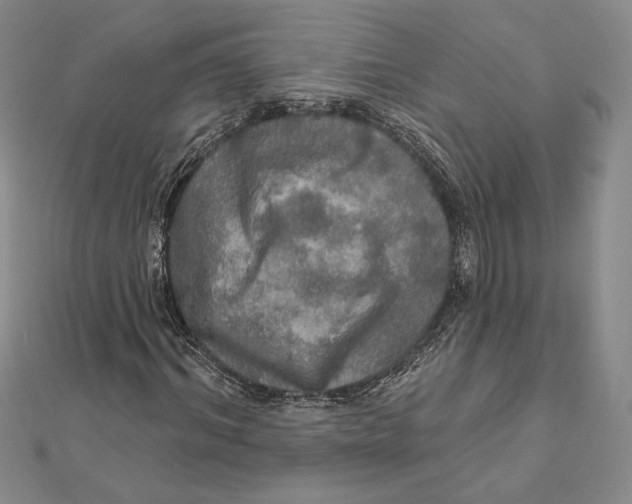 X0000112020964200908311151