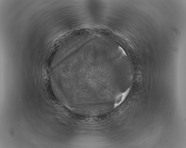 X0000112020966200908311151