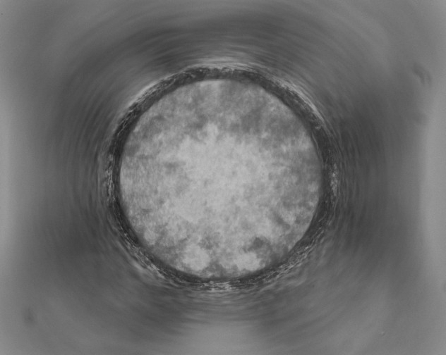 X0000112020968200908311151