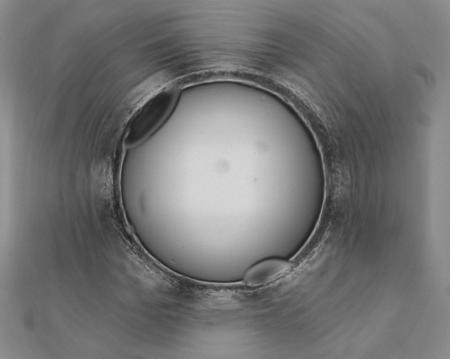 X0000112020969200908311151