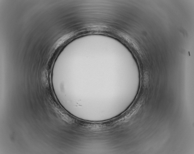 X0000112020970200908311151