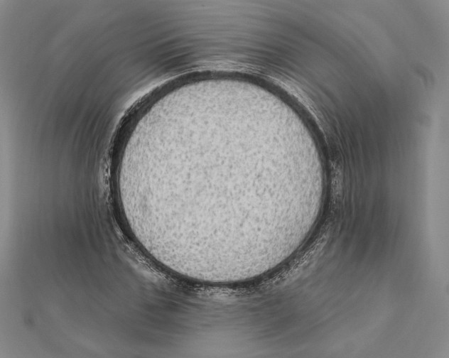 X0000112020971200908311151