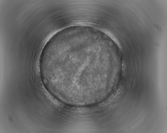 X0000112020972200908311151