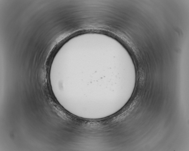 X0000112020974200908311151