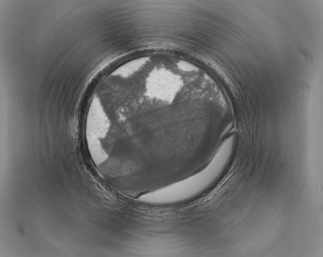 X0000112020975200908311151