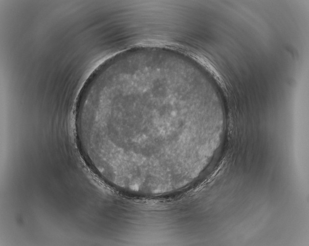 X0000112020976200908311151