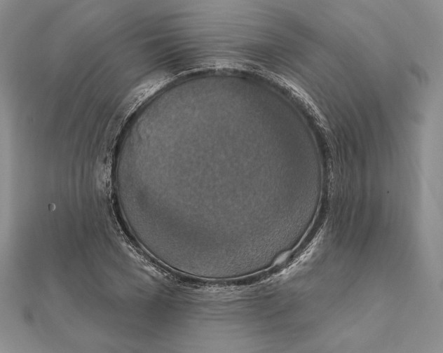 X0000112020977200908311151