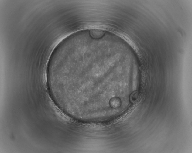 X0000112020980200908311151