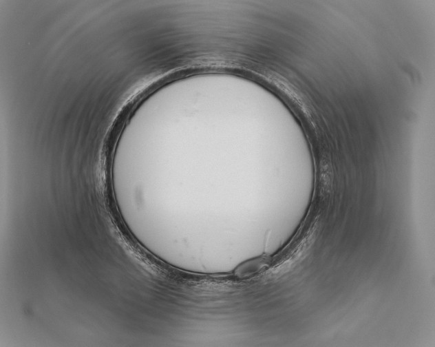 X0000112020981200908311151