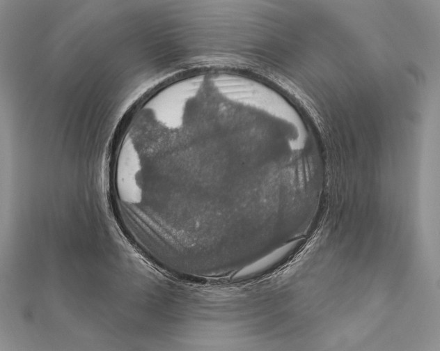 X0000112020983200908311151