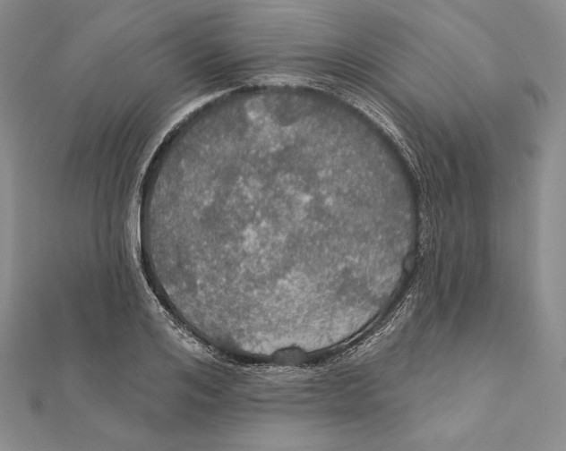 X0000112020984200908311151