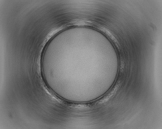 X0000112020986200908311151