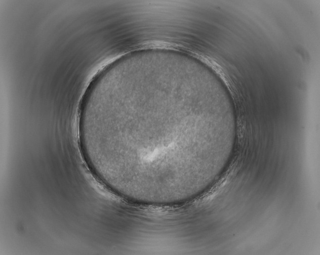 X0000112020987200908311151