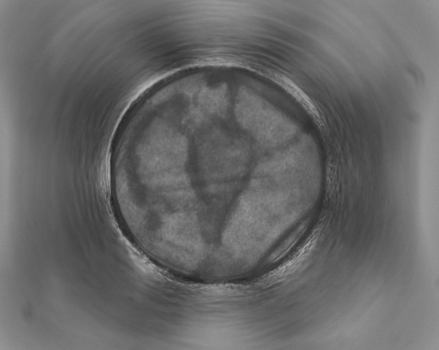 X0000112020988200908311151