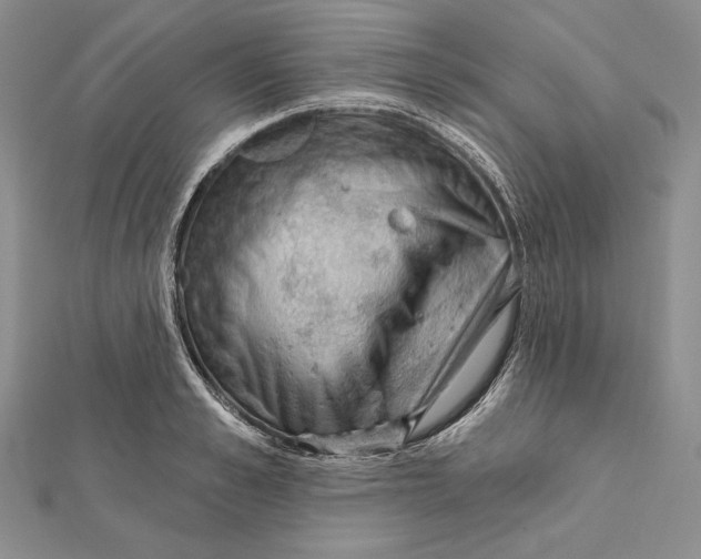 X0000112020989200908311151