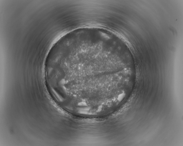 X0000112020990200908311151