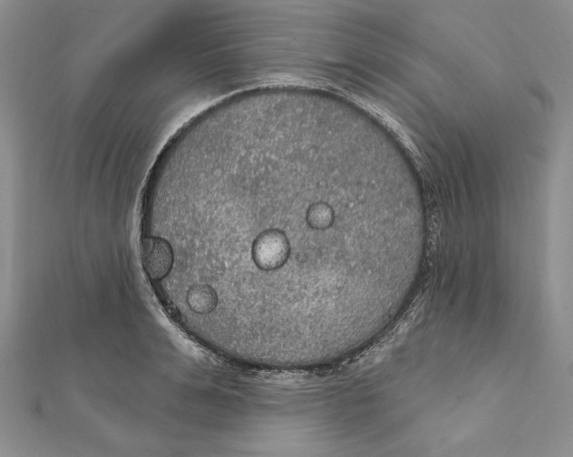 X0000112020991200908311151