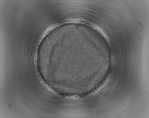 X0000112020994200908311151